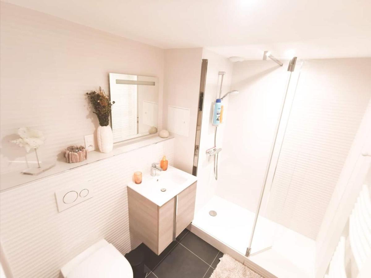 Appartement Cosy En Hypercentre - Le Petit Jules Dijon Buitenkant foto